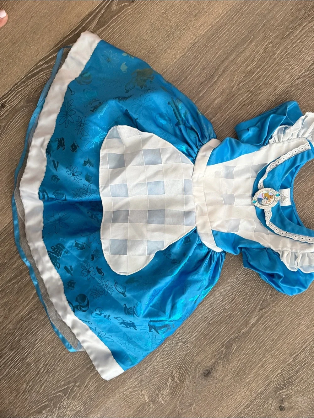 Authentic Disney brand princess costume dresses